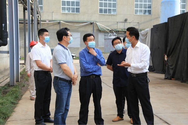 荆门市副市长胡小国调研J9集团磷石膏综合使用项目-新闻动态-J9集团