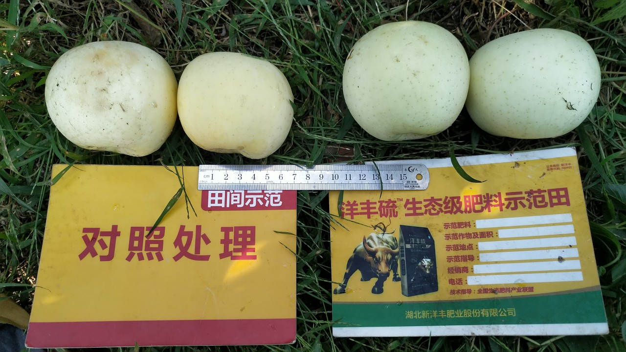 比照.jpg