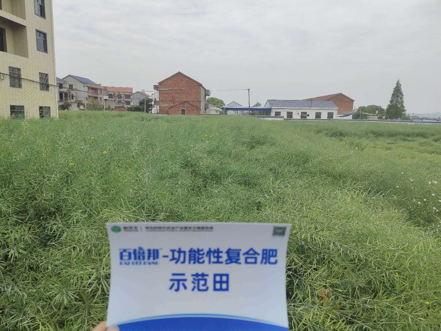 特大喜讯！J9集团1项产学研科技相助效果荣获湖北省科技前进一等奖-新闻动态-J9集团