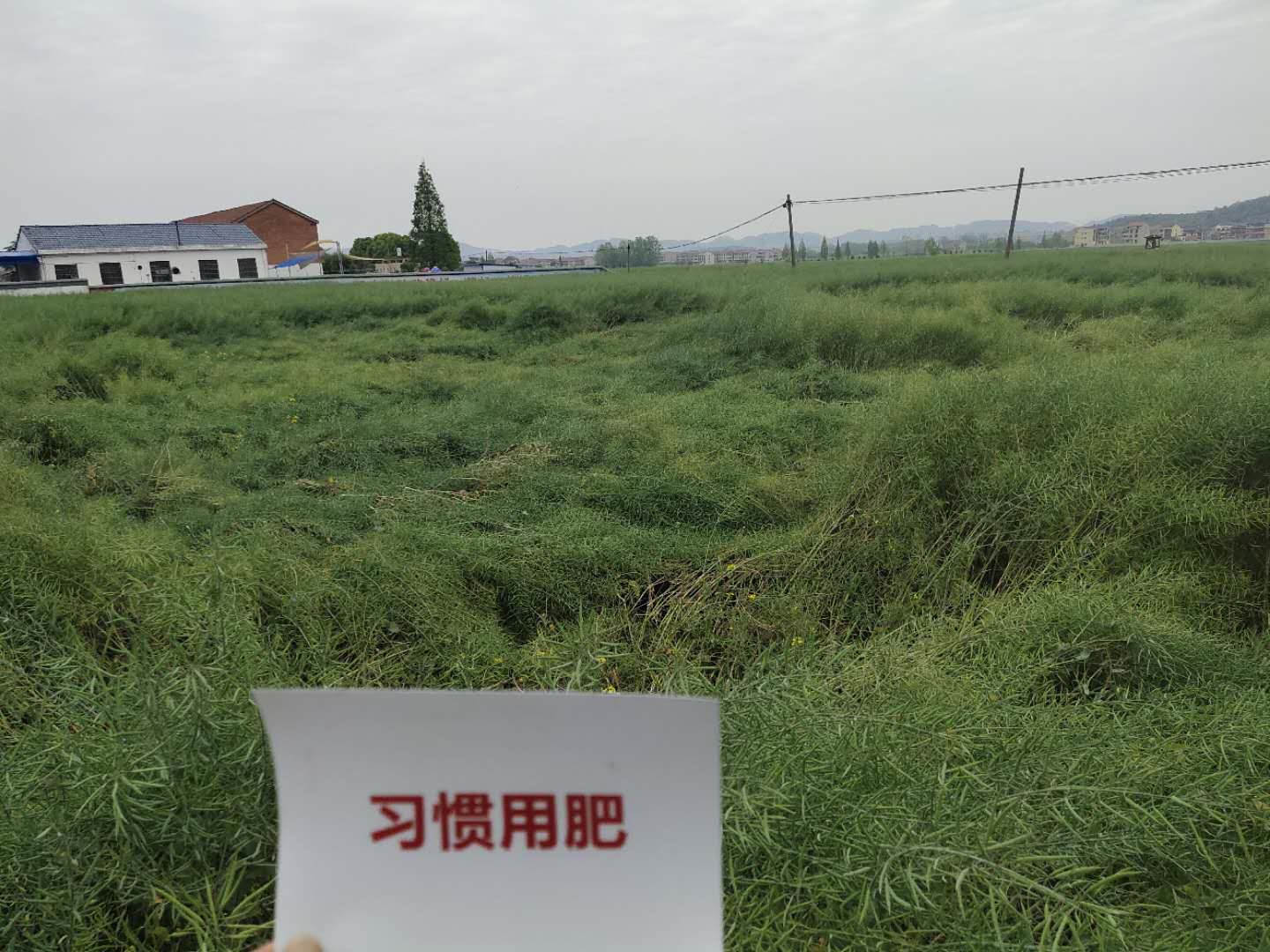 特大喜讯！J9集团1项产学研科技相助效果荣获湖北省科技前进一等奖-新闻动态-J9集团