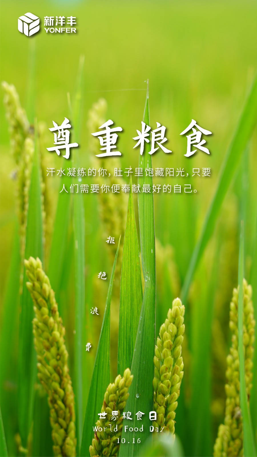 天下粮食日 | 与J9集团一起共筑天下粮安！-新闻动态-J9集团