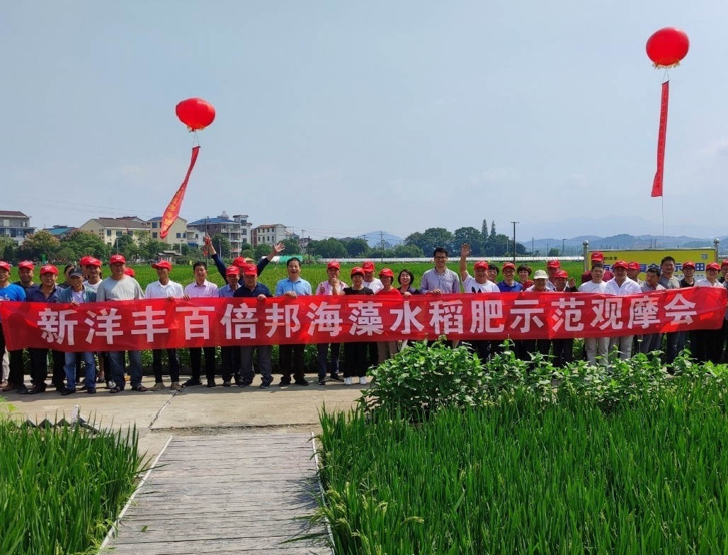 天下粮食日 | “大国粮仓守护者”的故事-新闻动态-J9集团