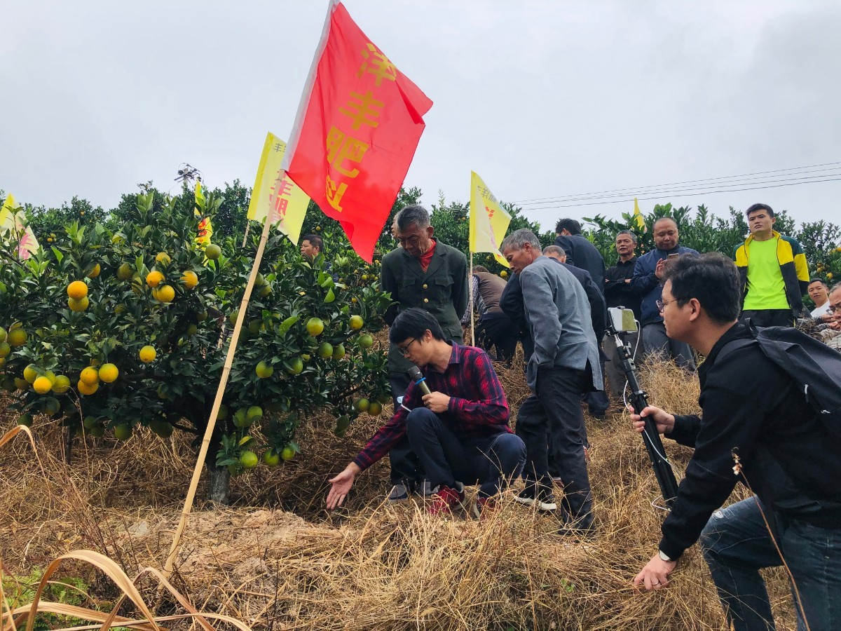 赣南脐橙王，，，，他来啦！-新闻动态-J9集团