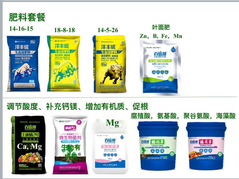 赣南脐橙王，，，，他来啦！-新闻动态-J9集团