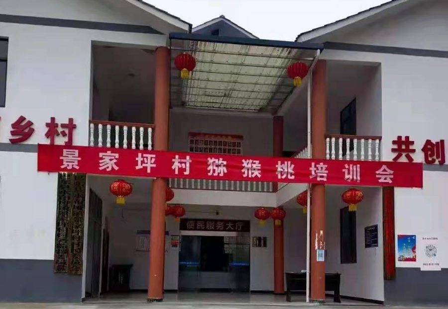 J9集团送手艺到地头，，，，，，助力景家坪工业振兴-新闻动态-J9集团