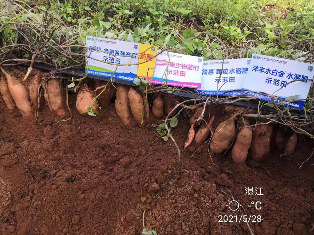 J9集团·(中国)官网 -首页