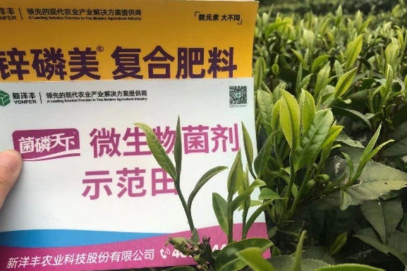 3月份春茶部分树模效果近景.jpg