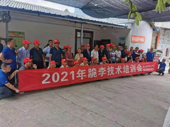 图片6两场莳植手艺培训观摩会现场.jpg