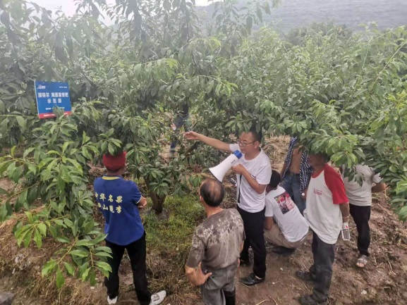 图片7罗德国先生在树模田观摩会现场解说先容澳之蓝套餐肥效果.jpg