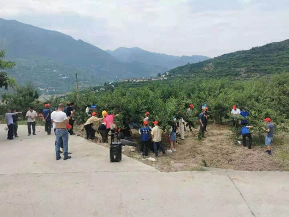 图片8罗德国先生在树模田观摩会现场解说先容澳之蓝套餐肥效果2.jpg