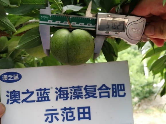 J9集团·(中国)官网 -首页