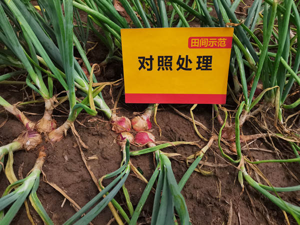 J9集团·(中国)官网 -首页