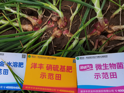 J9集团·(中国)官网 -首页