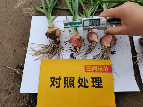 J9集团·(中国)官网 -首页
