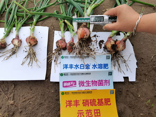 J9集团·(中国)官网 -首页