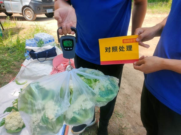J9集团·(中国)官网 -首页