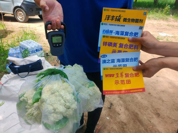 J9集团·(中国)官网 -首页