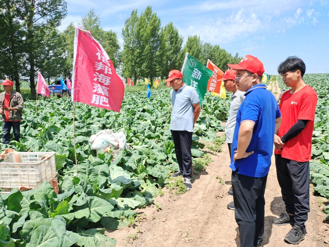 图片1蔬菜莳植大户旅行树模田长势情形.jpg
