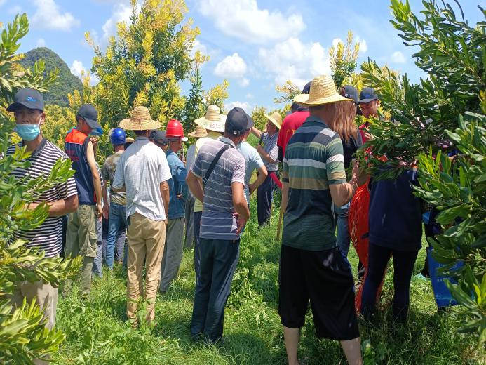 图片4莳植户在田间旅行1.jpg