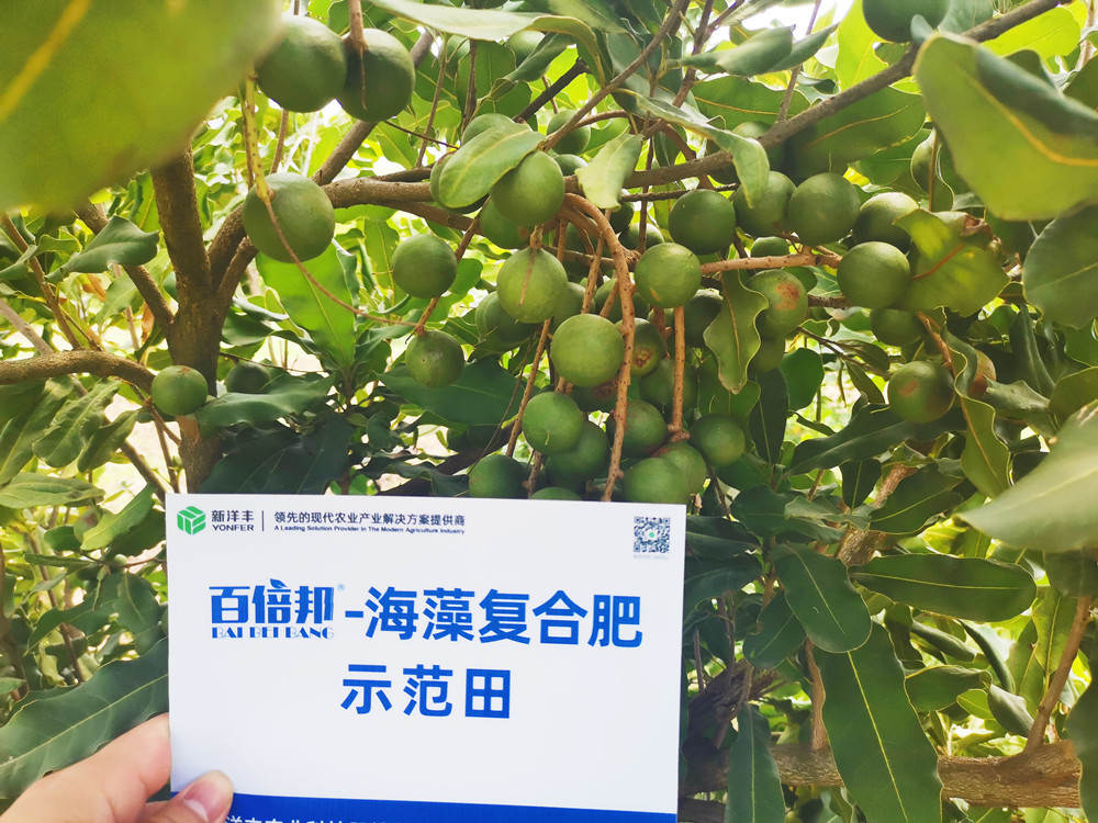 树模田最近效果量_副本.jpg