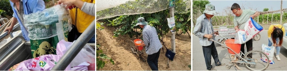 5月份，，手艺员跟踪指导施肥.jpg
