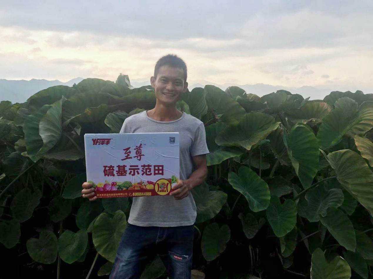 莳植户在田间1_副本.jpg