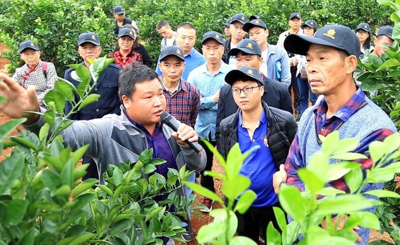 景明农旅手艺总监为农户解说莳植手艺_副本.jpg