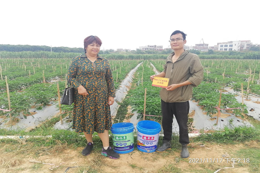 邓群珍（左）在走访蔬菜莳植基地_副本.jpg