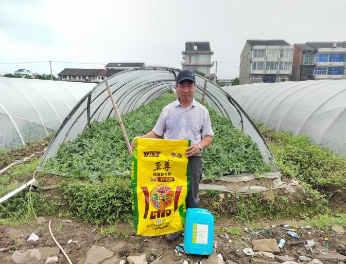 洋丰至尊葡萄、西瓜树模施肥现场照片2.jpg