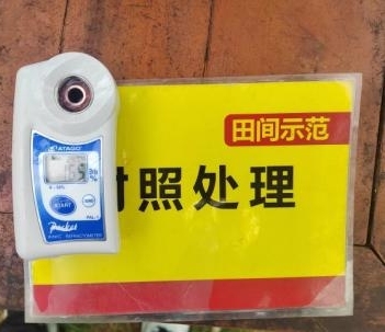 树模葡萄肩部果糖度比比照高0.6度 2.jpg