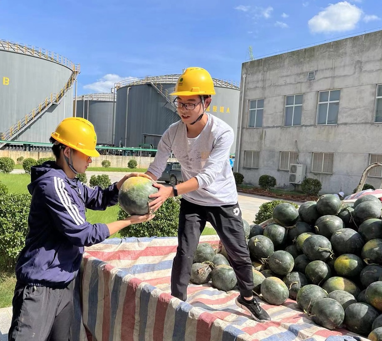 宜昌J9集团为职工准备西瓜.jpg