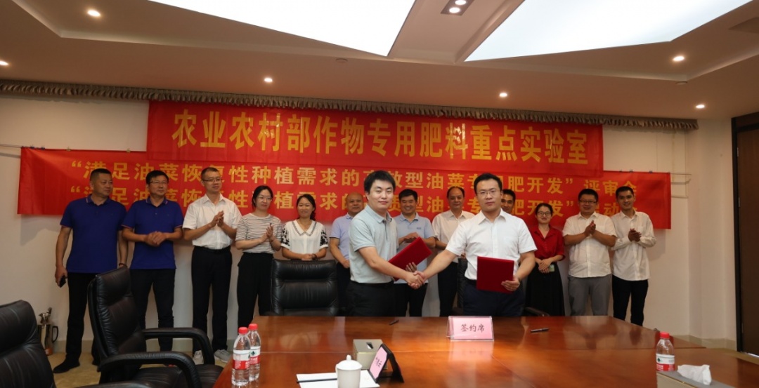 从“高效型”向“高质型”转变，，，油菜专用肥开发开启新篇章-新闻动态-J9集团