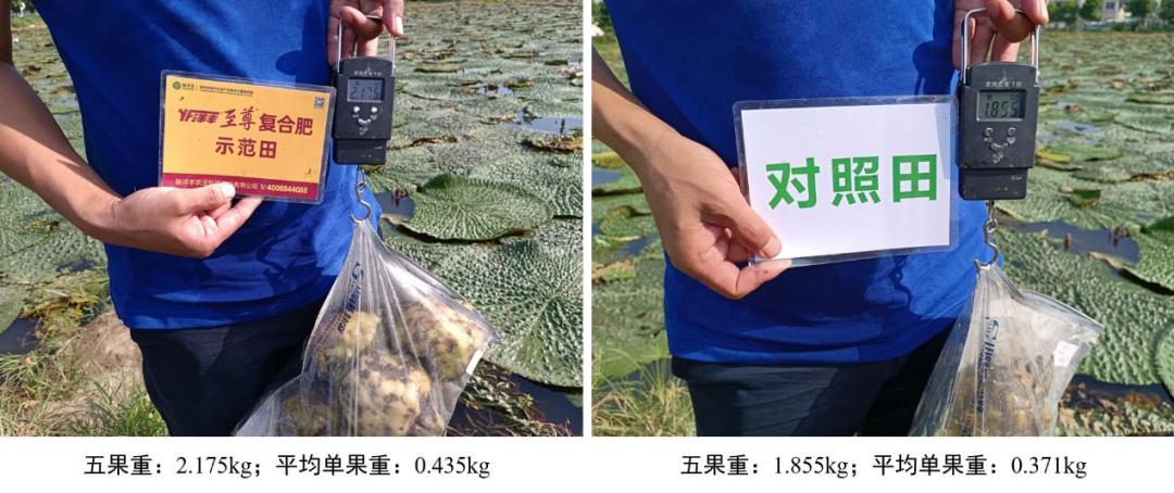 果重比照.jpg