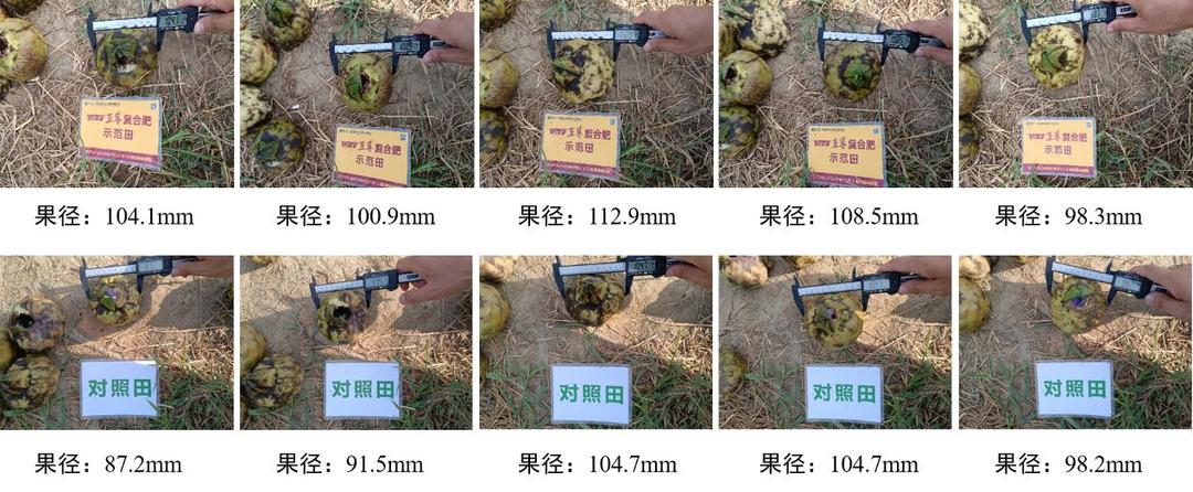 果径比照.jpg