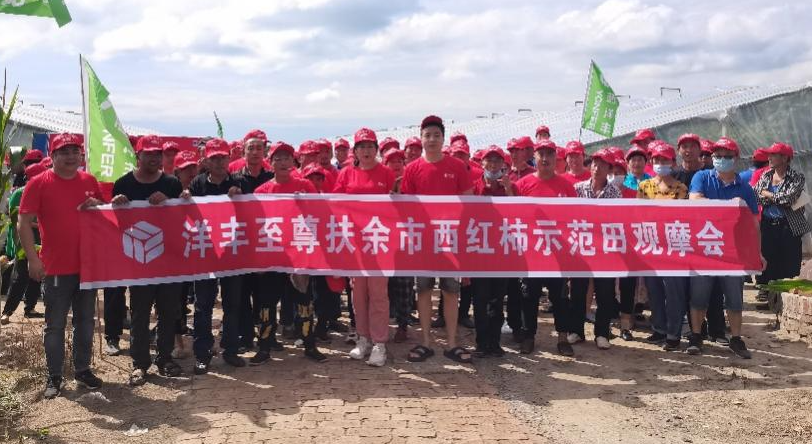 图6  8月15日洋丰至尊番茄树模田观摩汇合影.jpg