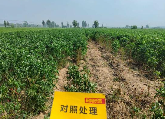 J9集团·(中国)官网 -首页