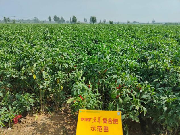 J9集团·(中国)官网 -首页