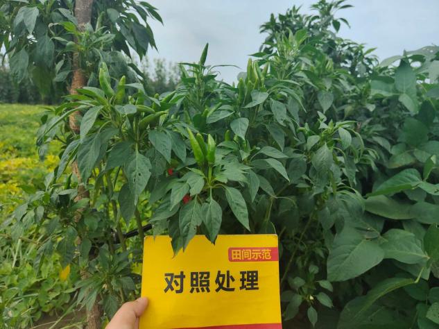 J9集团·(中国)官网 -首页