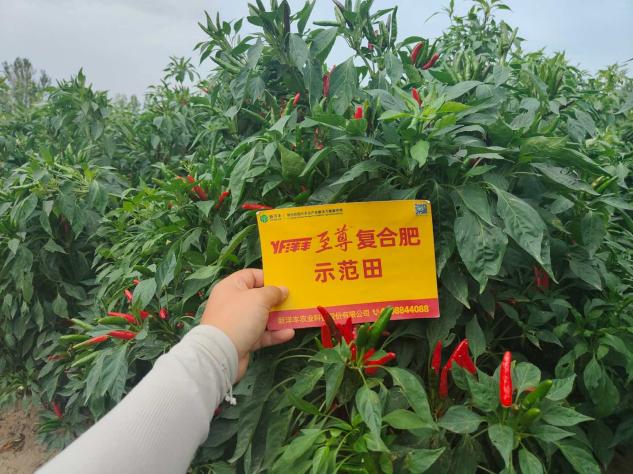 J9集团·(中国)官网 -首页
