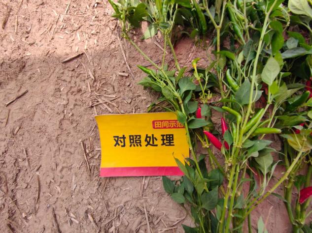 J9集团·(中国)官网 -首页