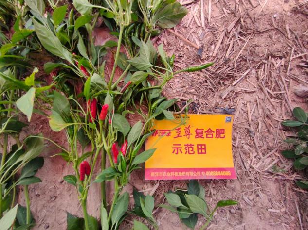 J9集团·(中国)官网 -首页