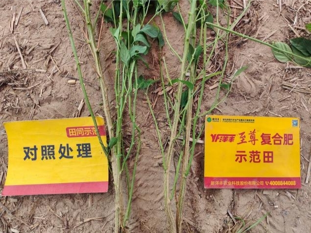茎秆比照.jpg