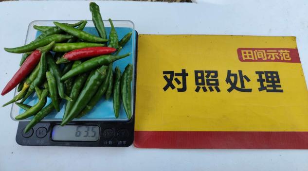 比照谈单株果重.jpg