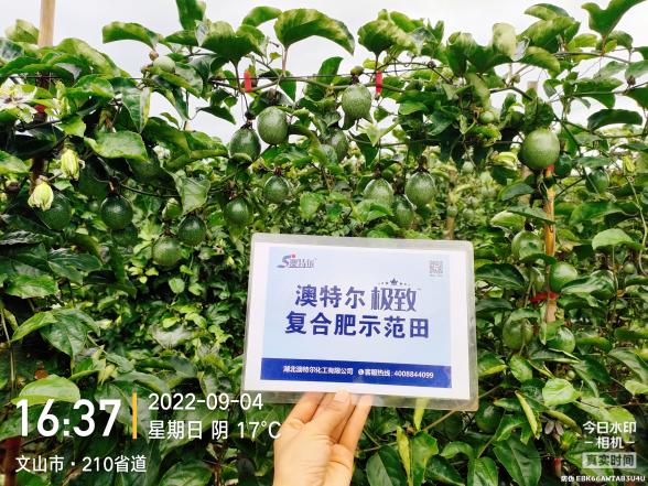 J9集团·(中国)官网 -首页