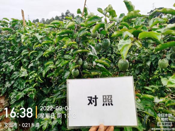 J9集团·(中国)官网 -首页