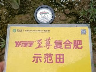 树模田PH.jpg