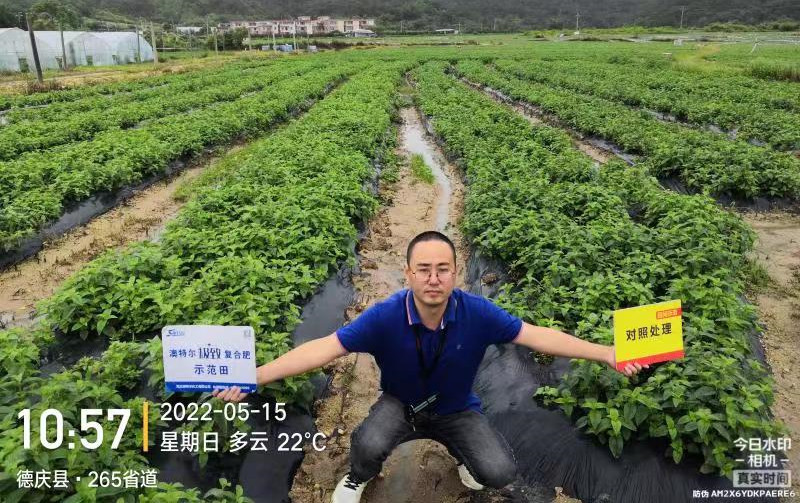同田比照_副本.jpg