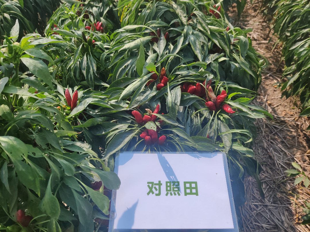 J9集团·(中国)官网 -首页