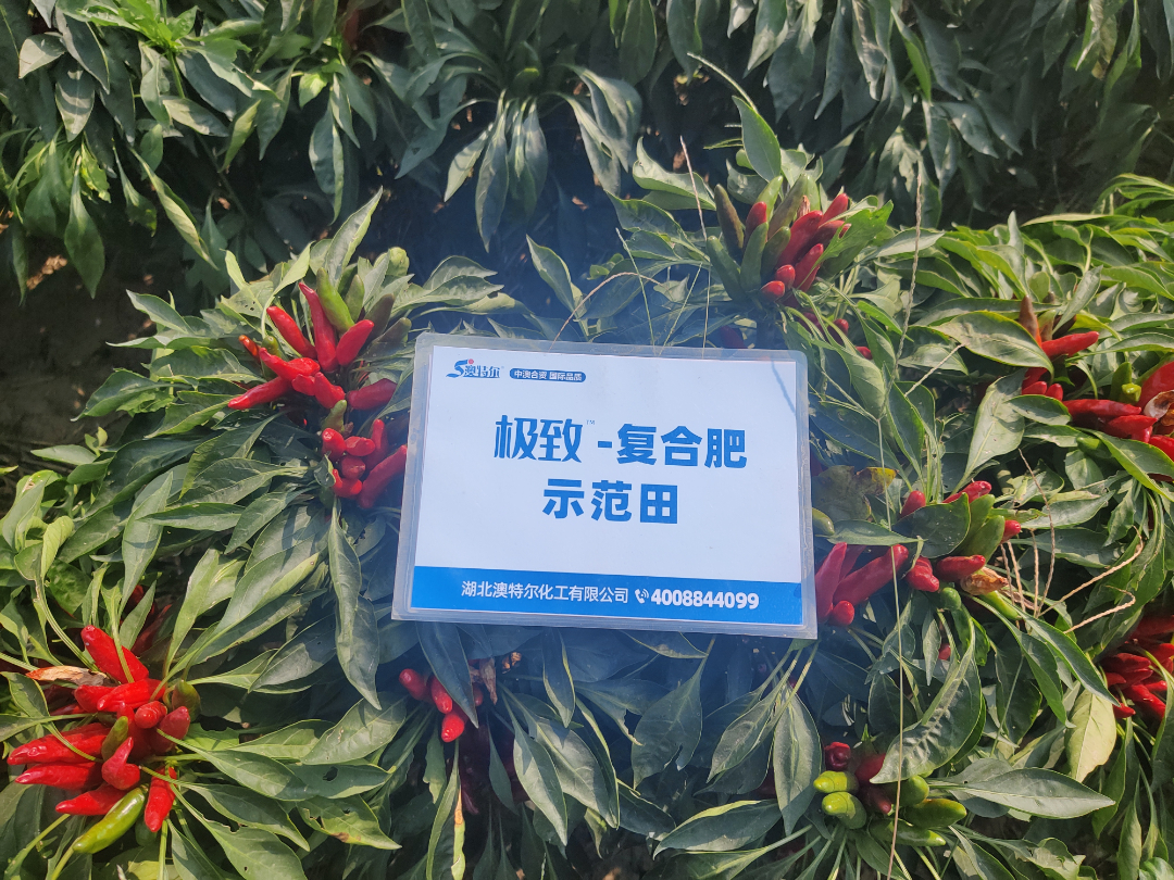 J9集团·(中国)官网 -首页