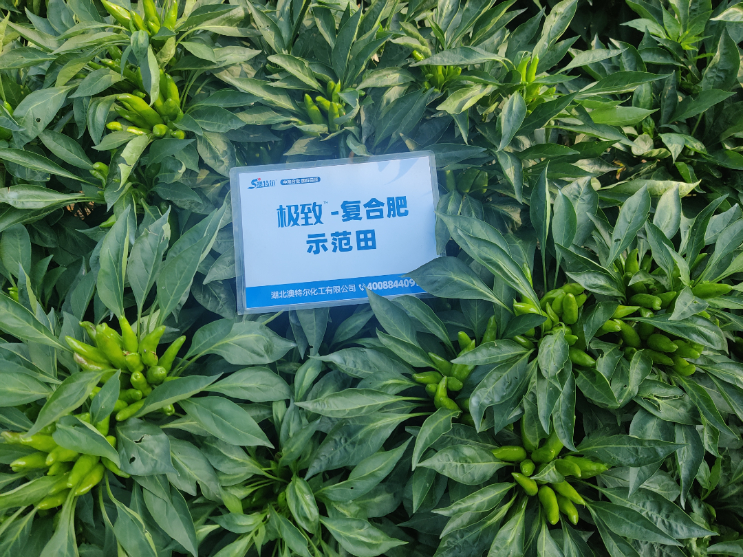 3组 (4).jpg